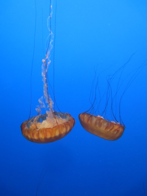 IMG_3325.JPG